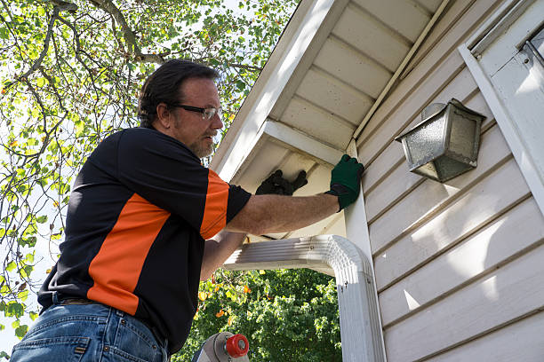 Best Demolition Debris Removal  in Palm River Clair Mel, FL
